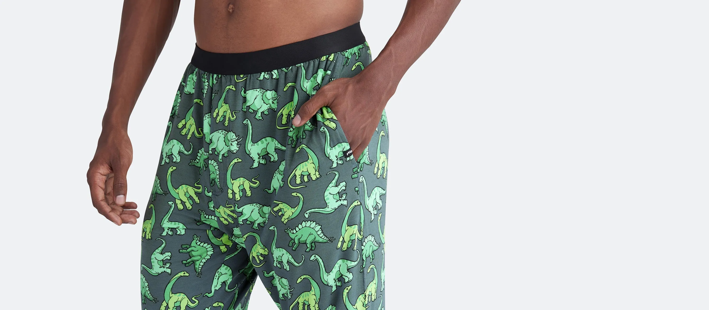 Men's Lounge Pants | Dinos